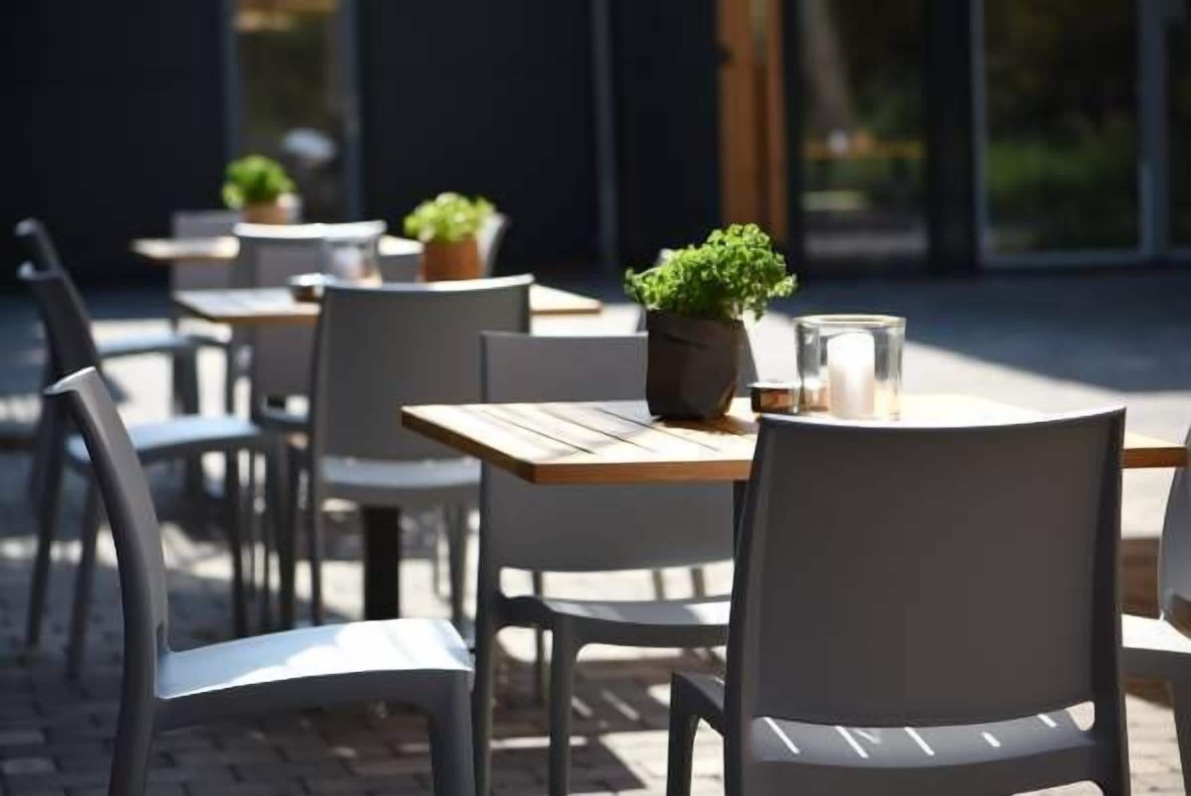 Local e internacional