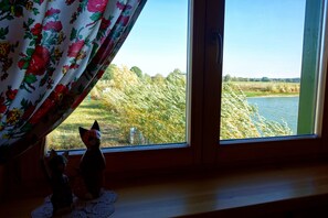 Standard Triple Room | View from room