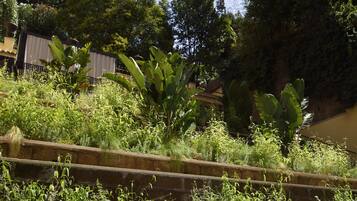 An outdoor dining area with tables and chairs, surrounded by lush greenery and a stone retaining wall.