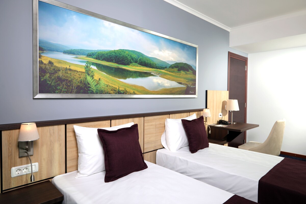 Phòng Tiêu chuẩn, 2 giường đơn | 1 phòng ngủ, minibar, két bảo mật tại phòng, bàn 