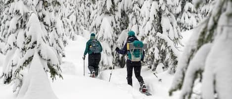 Två personer åker skidor genom en snötäckt skog.