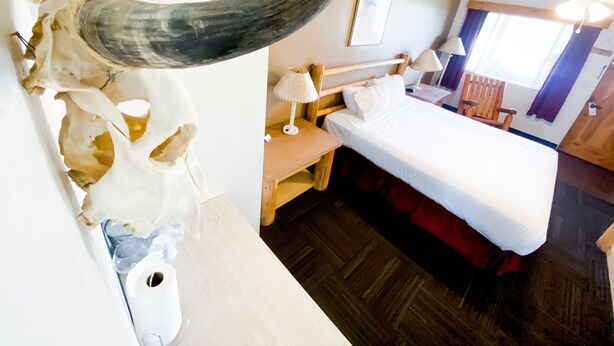 Una camera d'albergo con un grande teschio di toro appeso al muro, un letto con lenzuola bianche, un comodino in legno, una scrivania con lampada e una finestra con tende.