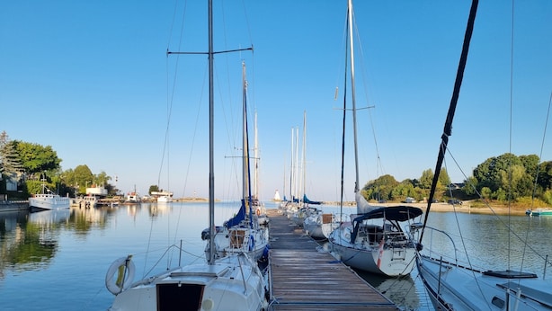 Un puerto deportivo con varios veleros amarrados a un muelle de madera.