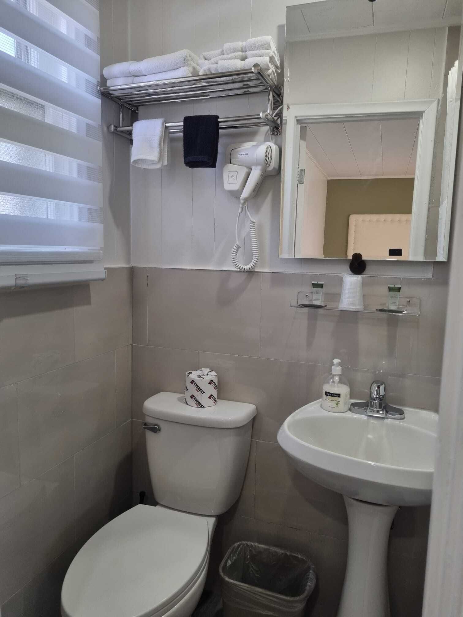 A bathroom with a toilet, a sink, a hairdryer, and a towel rack.