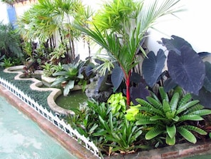 Un jardín con diversas plantas y un pequeño estanque.