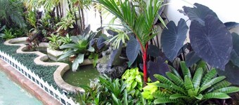 Pousada Belafonte Rio Centro