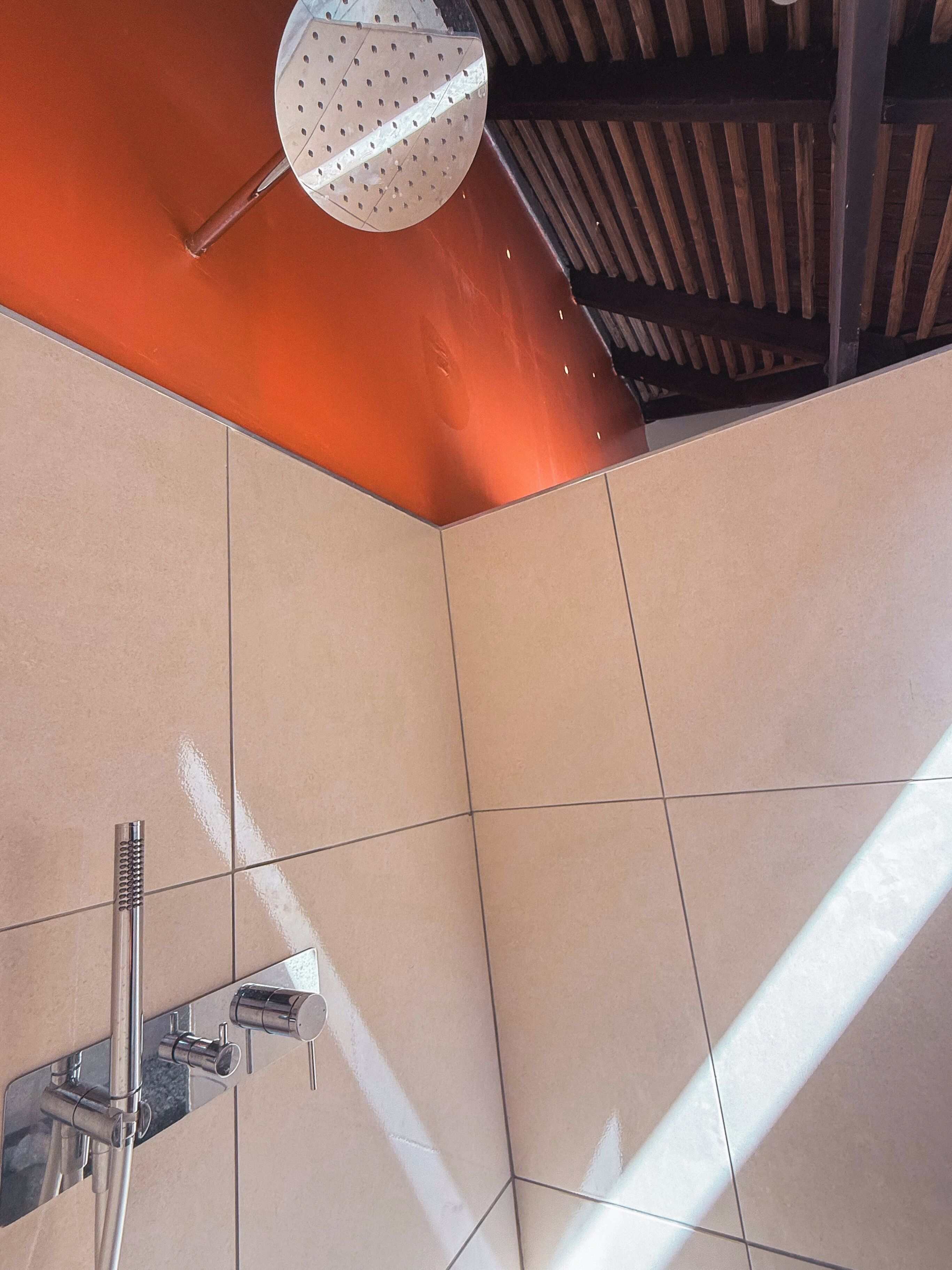 A shower area with a handheld showerhead, a wall-mounted control panel, and a ceiling-mounted showerhead.
