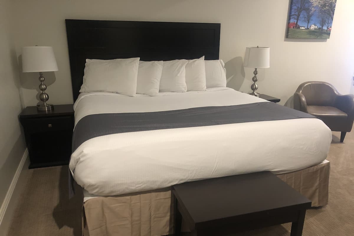 Standard Room, 1 King Bed | Desk, free rollaway beds, free WiFi, bed sheets