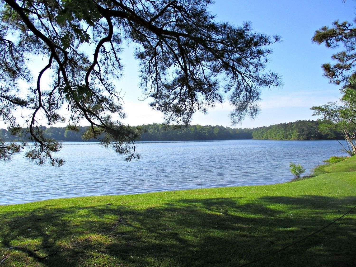 A lakeside view with a grassy area and trees.