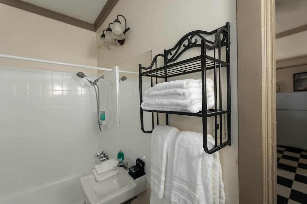 Departamento Premium, 1 cama King size y sofá cama, balcón, vista al patio | Baño | Amenidades de baño gratuitas, secadora de cabello, toallas, jabón