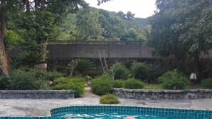 Una persona sentada sobre un flamenco inflable rosa en una piscina rodeada de follaje.