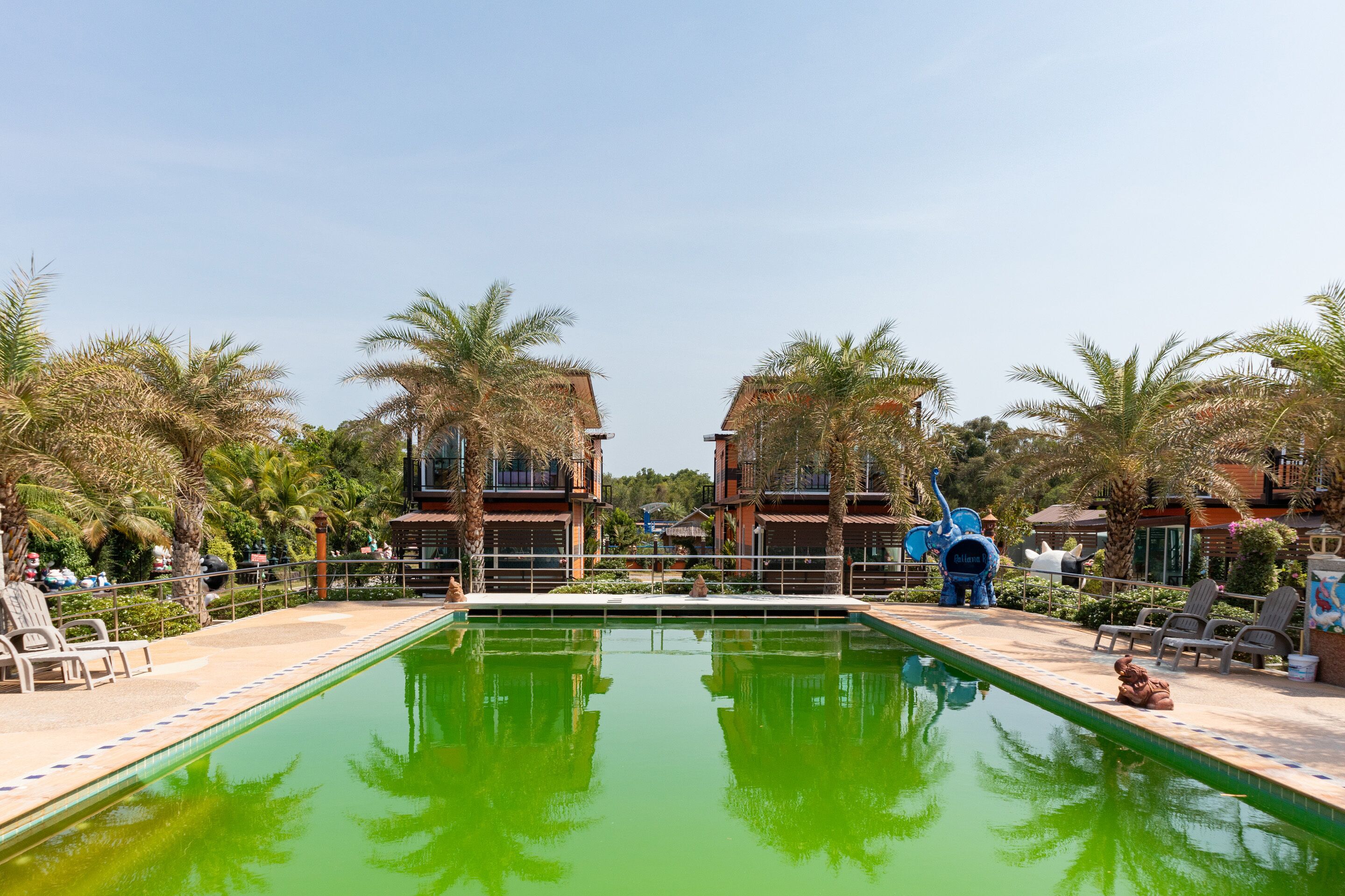 Kolam renang terbuka 