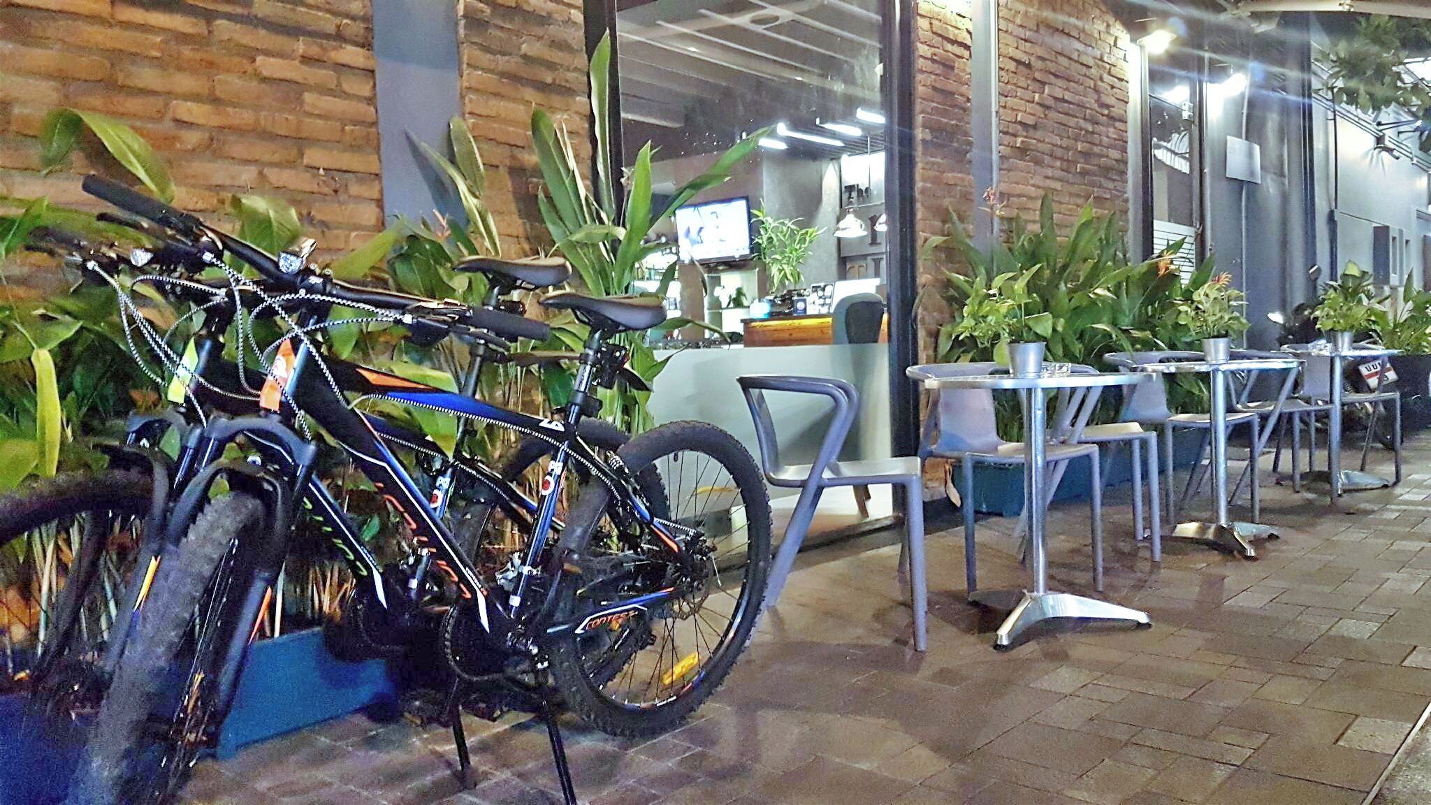 Bicycles parked outside a building with a brick wall and potted plants.