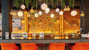 Eine Bar mit einer langen Theke, orangefarbenen Barhocker, hängenden Kugelleuchten und einer Wand mit hängenden Pflanzen und einem Kalender.