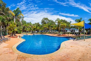 Una piscina con borde curvo, rodeada de sillas de descanso y palmeras.