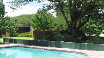 Outdoor pool, pool loungers