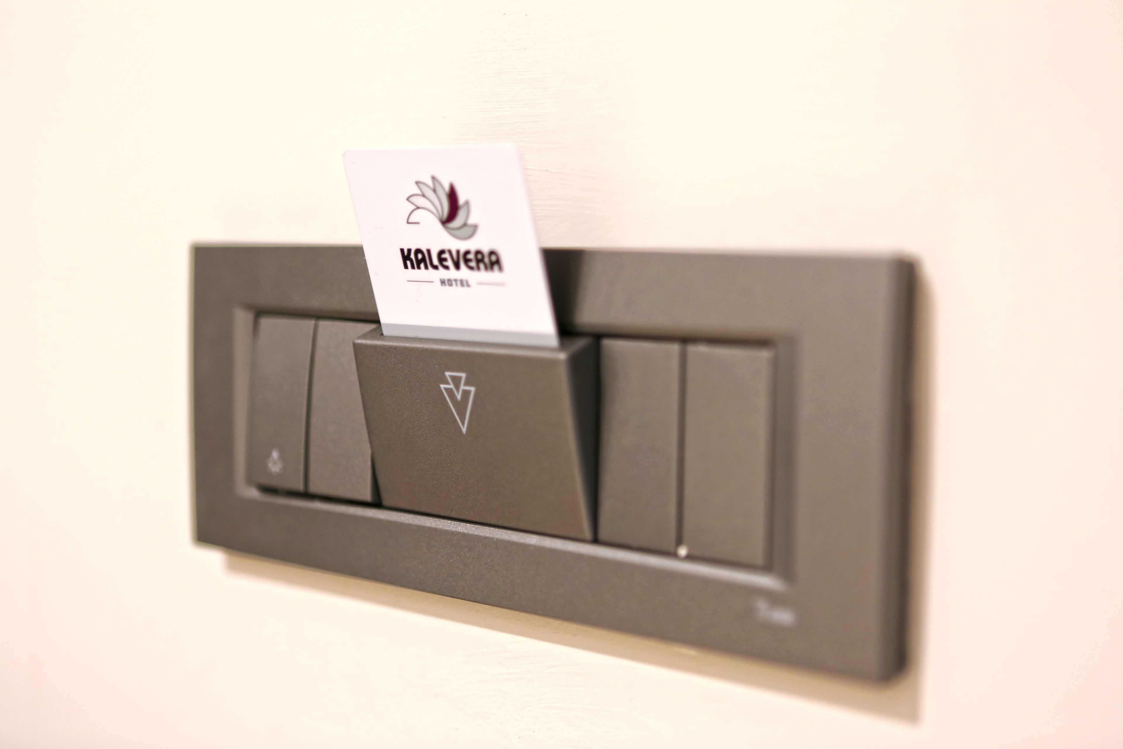 single room | interior detail