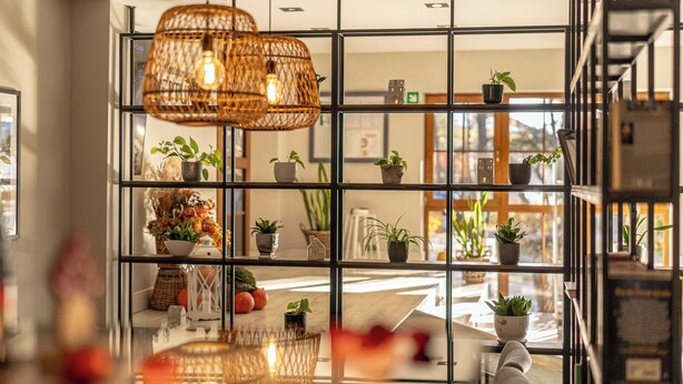 Un interior moderno con un panel de vidrio, lámparas colgantes de mimbre y plantas en macetas.