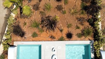 Vue aérienne d’une piscine divisée en deux zones distinctes, entourée de différentes plantes et bordée d’une terrasse avec des chaises longues.