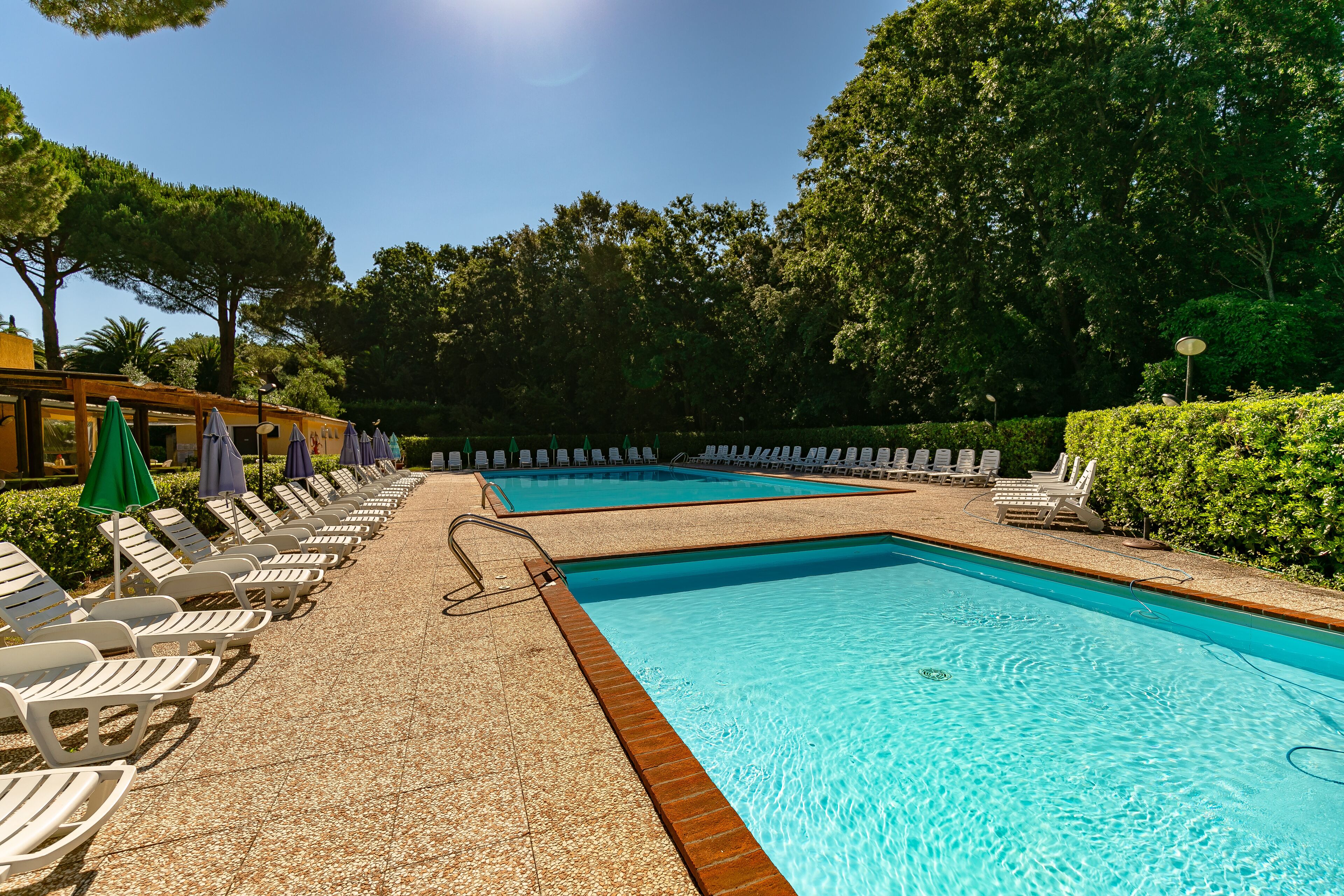 A swimming pool with lounge chairs and umbrellas, surrounded by trees and a clear sky.
