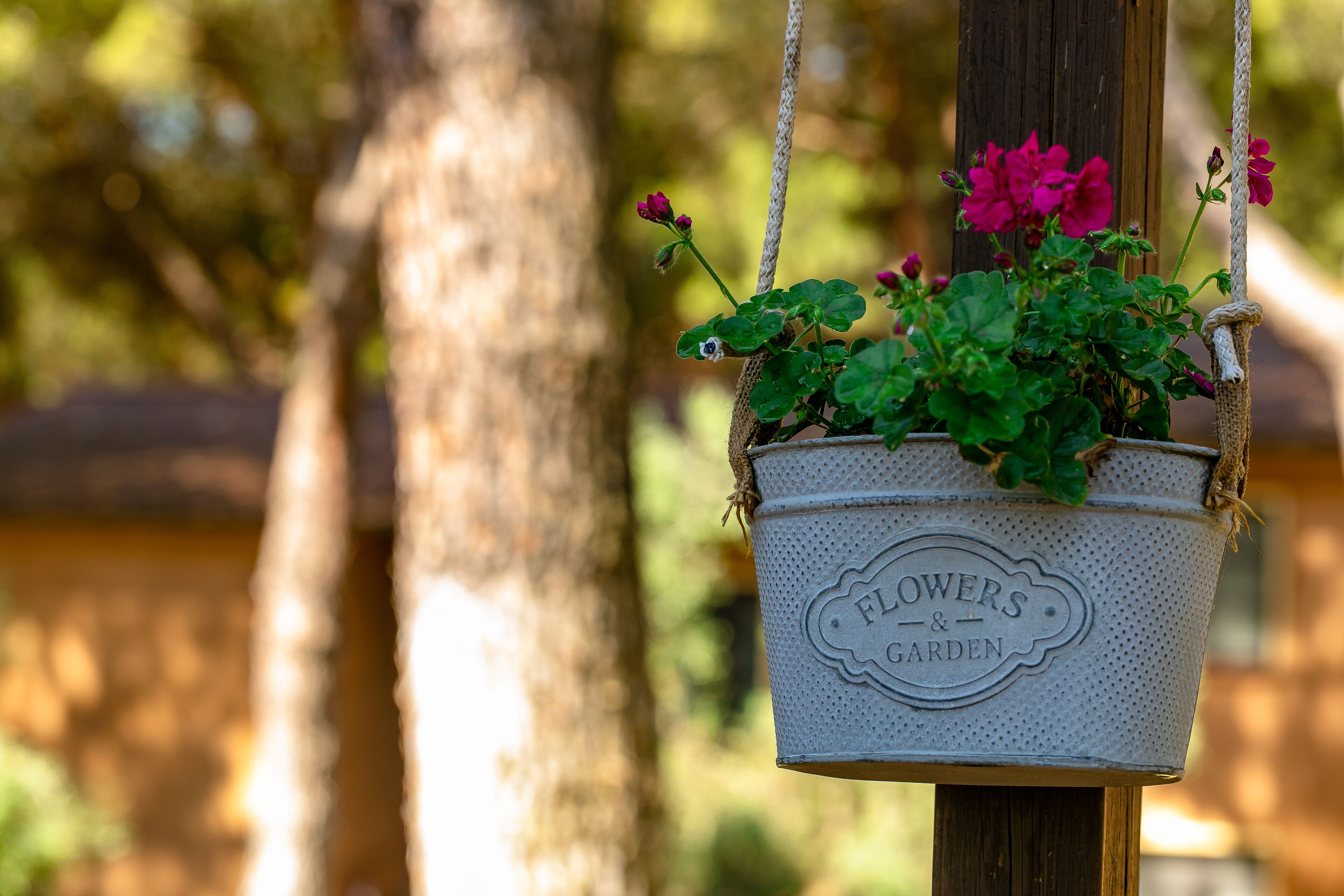 A hanging flower pot with a label reading "Flowers & Garden" suspended by ropes.
