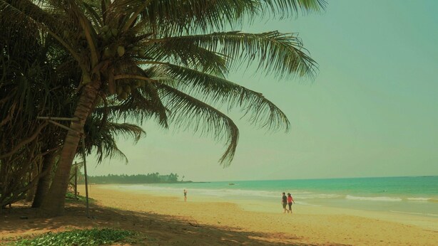 Strand