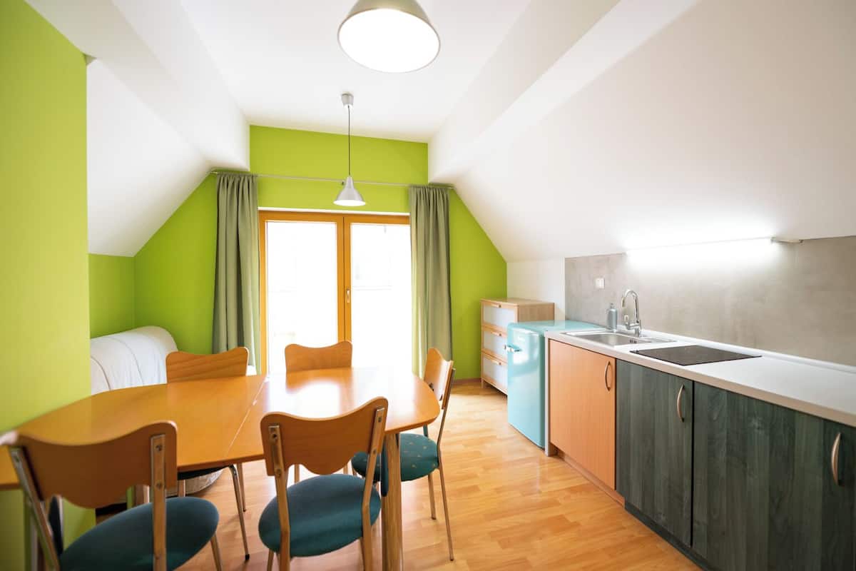 family apartment, 1 bedroom, balcony, garden view (kitchen) | private kitchen | mini-fridge