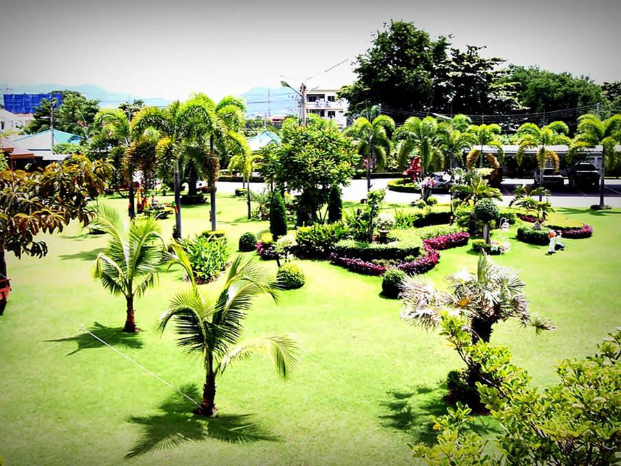 Un jardin bien entretenu, agrémenté de diverses plantes et arbres, avec une pelouse soigneusement taillée et une vue dégagée sur les environs, notamment les bâtiments et une route.