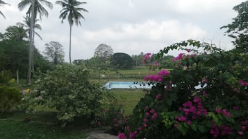 Deluxe Double Room, Lake View, Lakeside | View from room