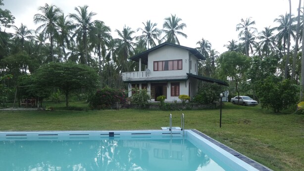 A rectangular swimming pool with a tiled edge, surrounded by a grassy lawn and palm trees. - CoCoWorld Bungalow (Panduwasnuwara)