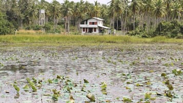 A house surrounded by a water body with lily pads and palm trees in the background.