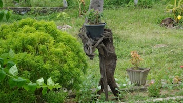 Giardino