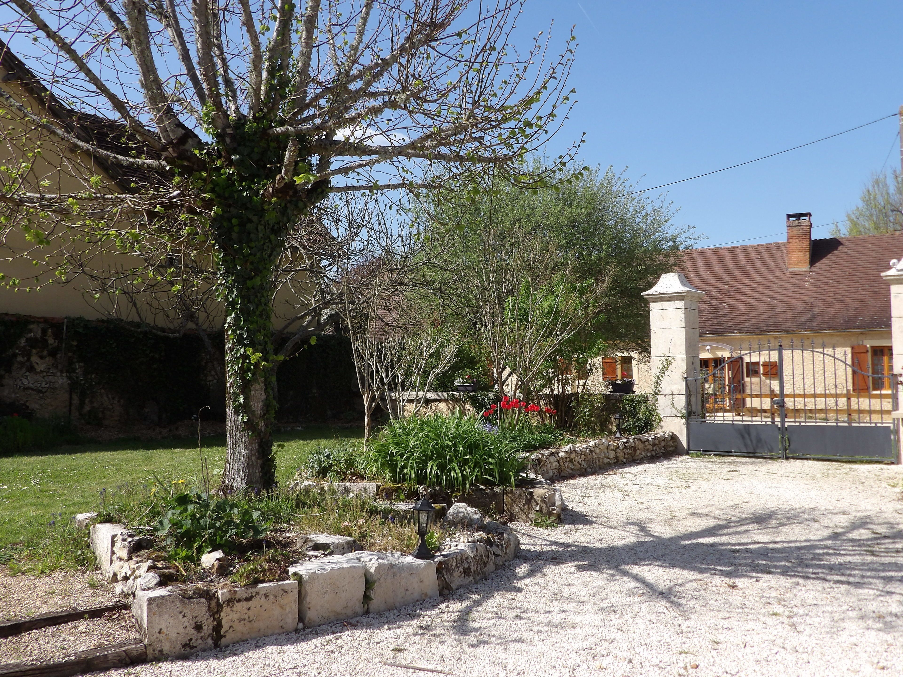 A garden with a gravel path, a tree, and a stone wall.