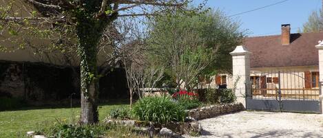 A garden with a gravel path, a tree, and a stone wall.