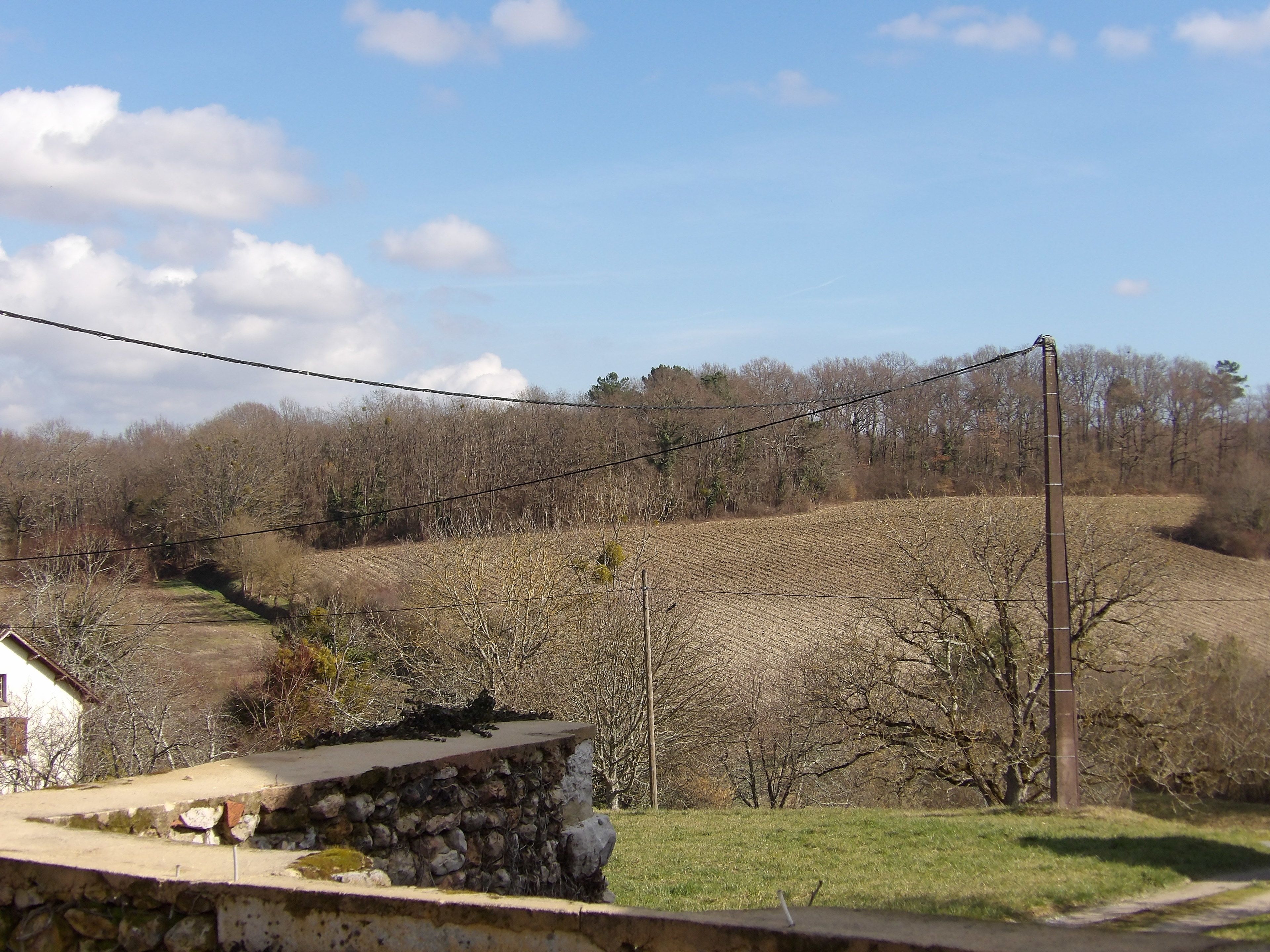 A rural landscape with a stone wall, a field, and a row of trees.