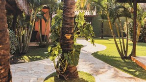 A stone pathway leading through a tropical garden with palm trees and a thatched-roof structure. - Pousada Cumbuco Meeting Point (Caucaia)