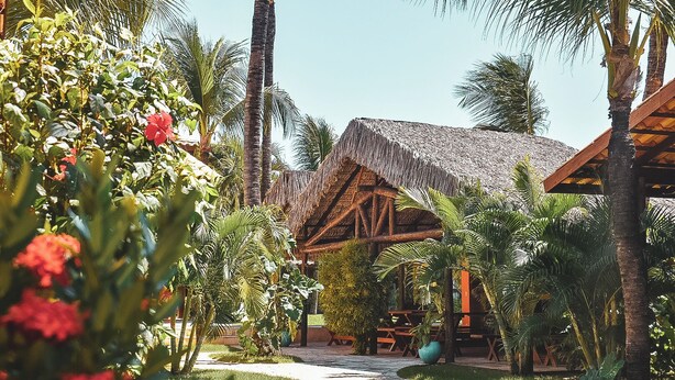 A thatched-roof structure surrounded by lush greenery and palm trees. - Pousada Cumbuco Meeting Point (Caucaia)