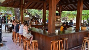 Eine Bar mit Holzboden, Barhocker, einer Theke und Blick ins Freie.