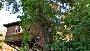 Ein hölzernes Baumhaus mit einer Treppe, umgeben von dichtem Grün.