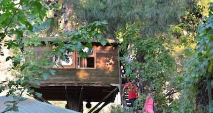 Gorge Club Saklikent - Campsite