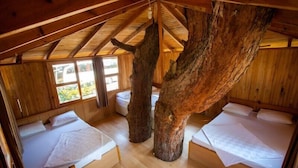 Eine Holzhütte mit zwei Betten und einem großen Baumstamm in der Mitte.