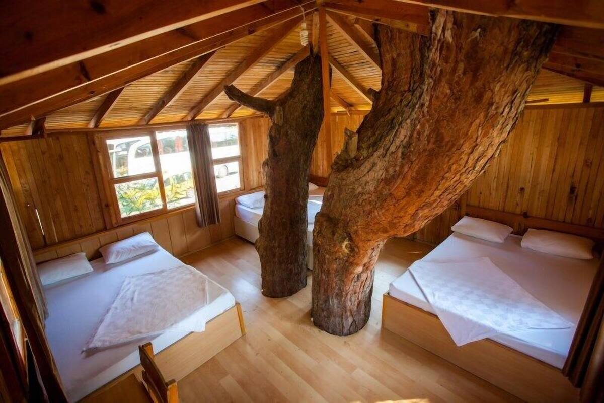 A cabin with two beds, wooden walls, and a large tree trunk in the center.