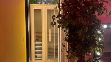 Standaard suite, toegankelijk voor mindervaliden, hot tub | Spa