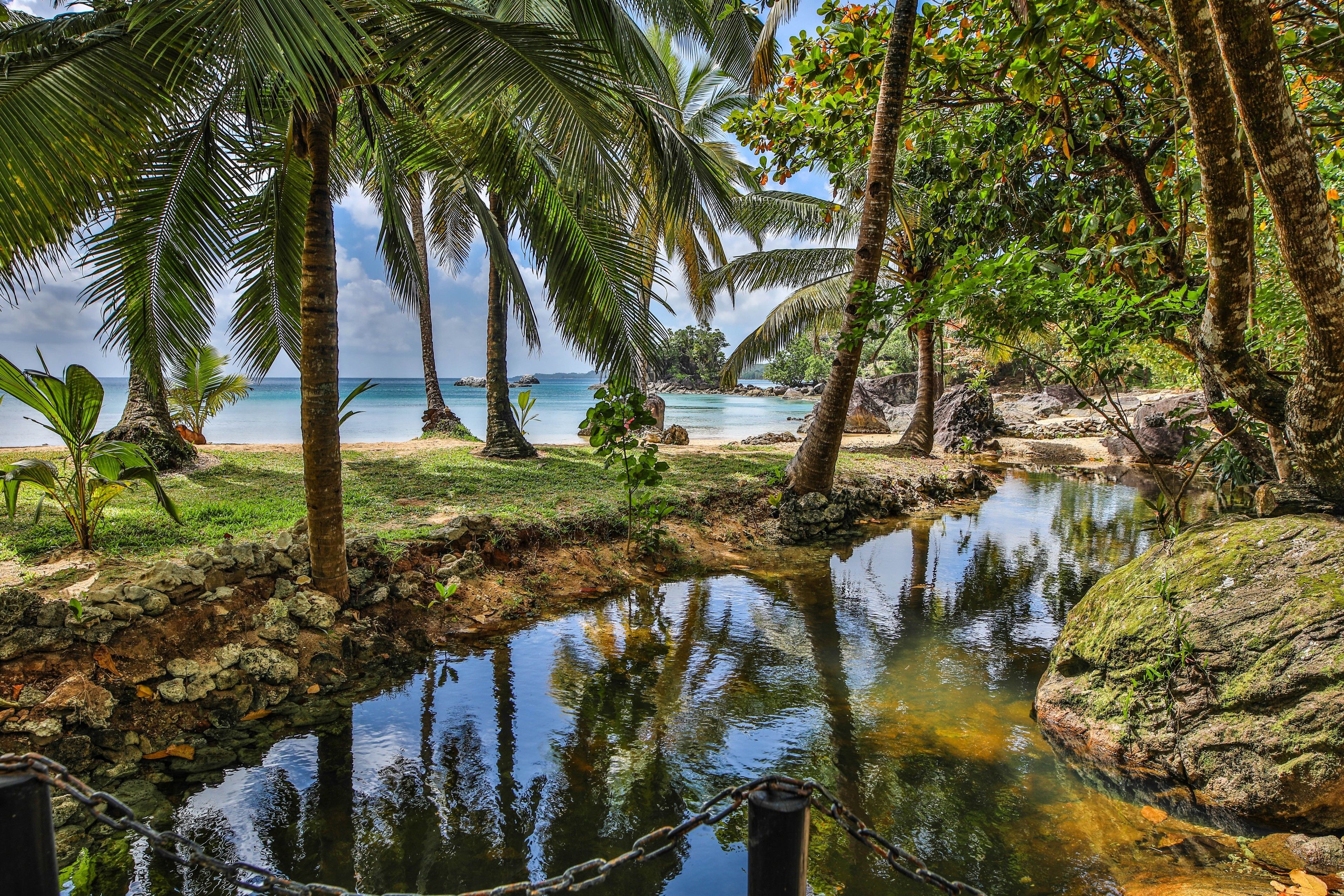 Escena de playa tropical con palmeras, un arroyo pequeño y una vista despejada del océano.