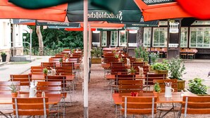 An outdoor dining area with rows of wooden tables and chairs, some with potted plants. - Historische Spitzgrundmühle Coswig (Coswig)