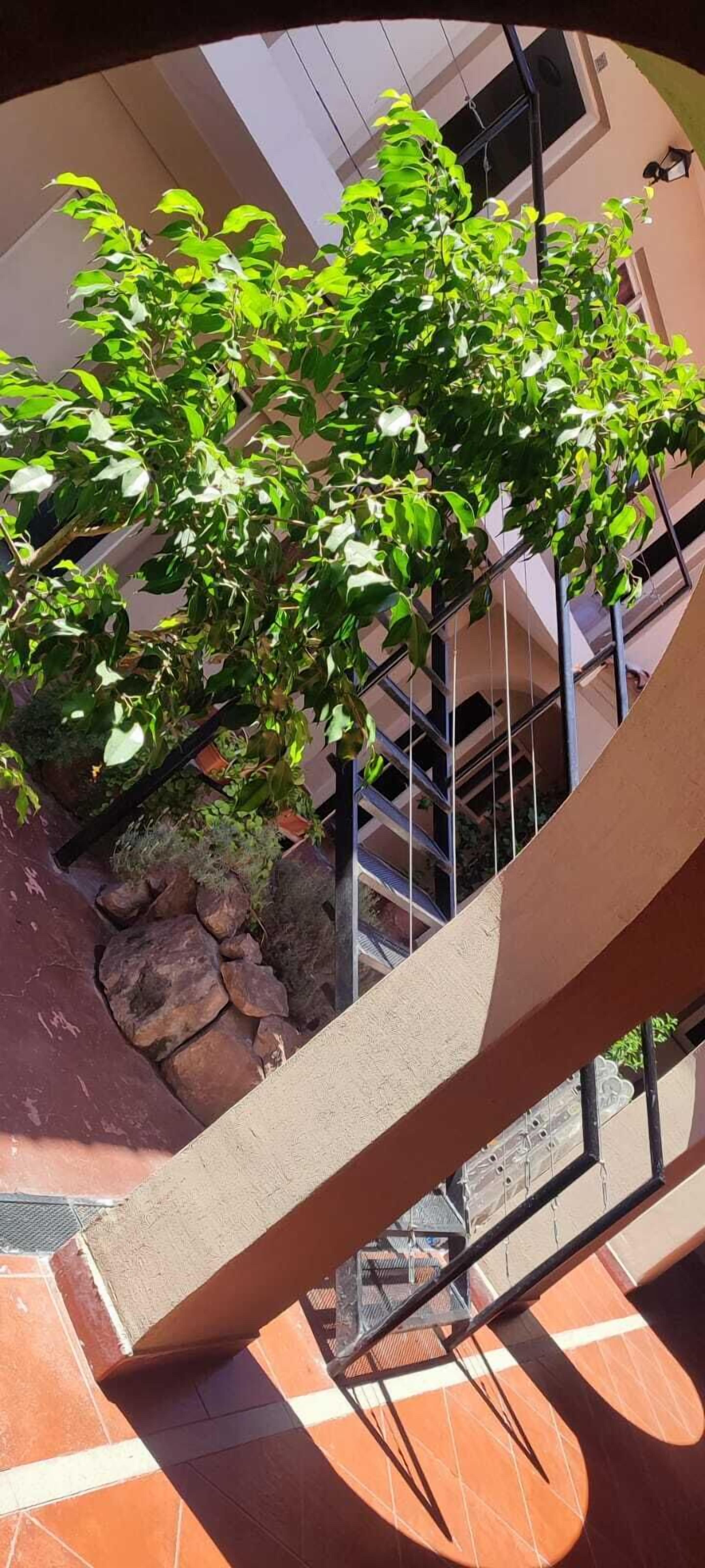 Foto - Hotel de la Linda