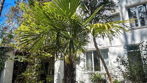 Ein weißes Gebäude mit Garten, darunter eine Palme und verschiedene Pflanzen.