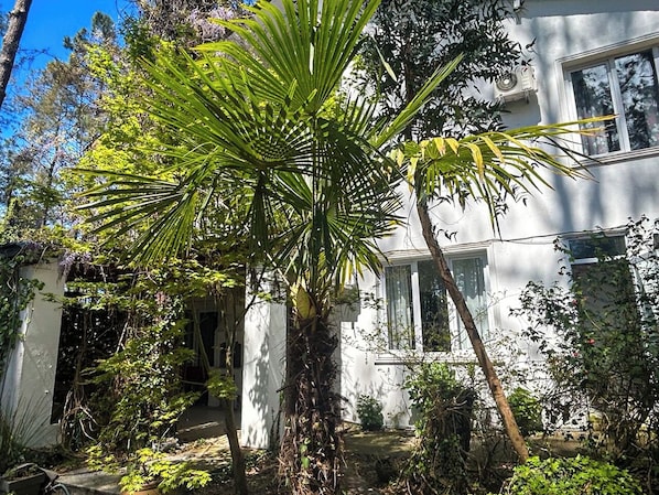 Un edificio blanco con jardín, que incluye una palmera y diversas plantas.