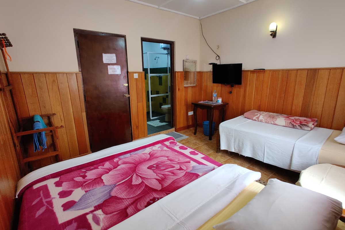 basic triple room, 1 bedroom | premium bedding, desk, laptop workspace, free wifi