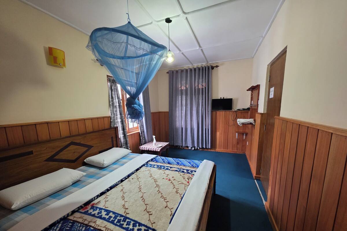 A room with a bed, a small table with a bottle, a television on a wooden cabinet, and a mosquito net over the bed.